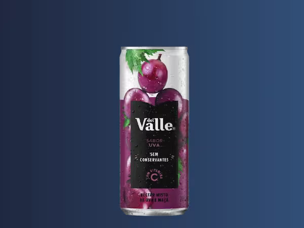 Suco Del Valle de Uva (290ml)